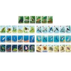 Janod Jeu Des 7 Familles Le Règne Animal WWF